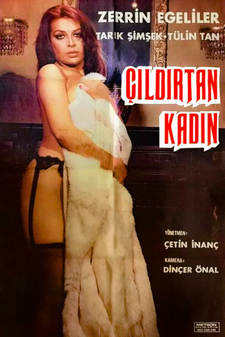 Çıldırtan Kadın afiş görseli