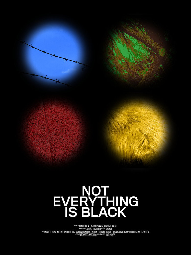 Not Everything Is Black afiş görseli