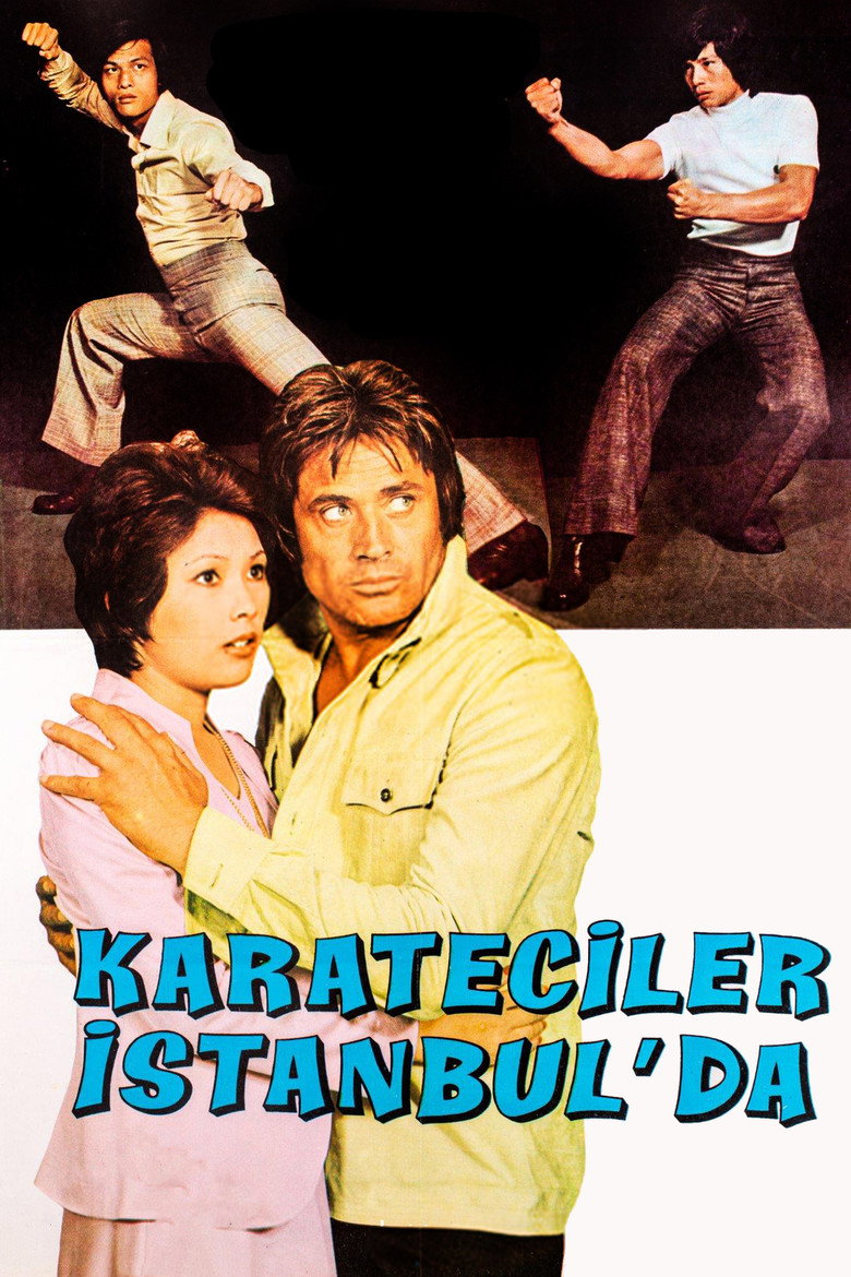 Karateciler İstanbul'da afiş görseli