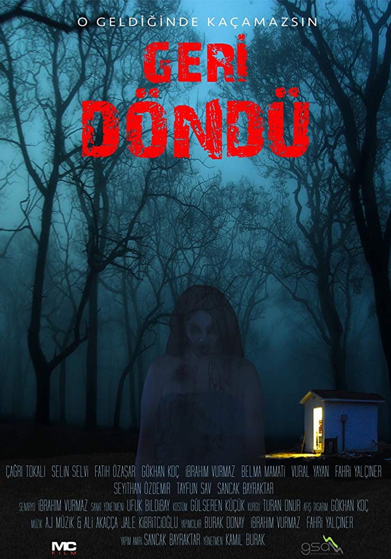 Geri Döndü afiş görseli
