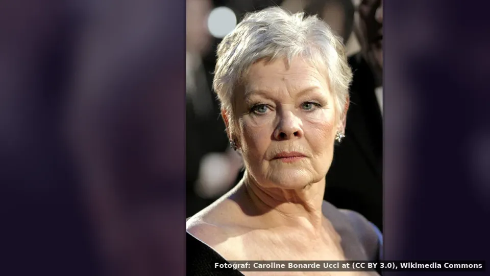 Judi Dench — Judi Dench, yaşlandıkça daha çok sahne arıyor