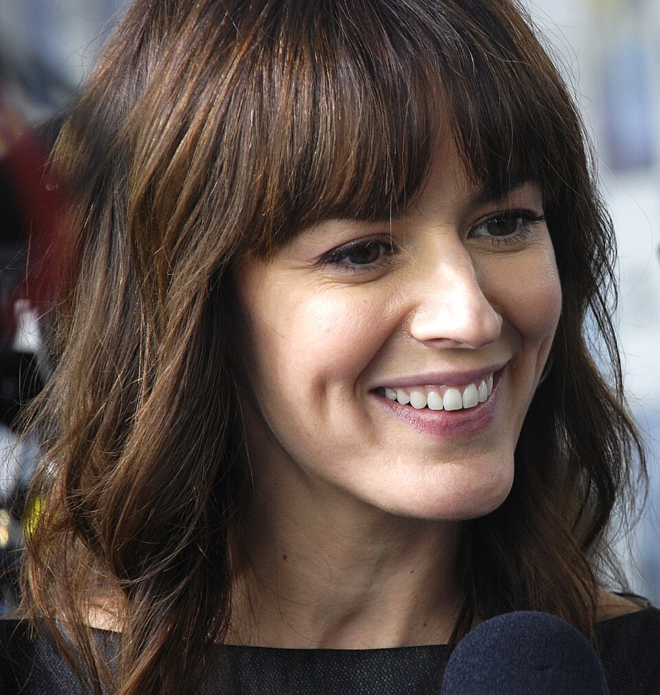 Rosemarie DeWitt fotoğrafı