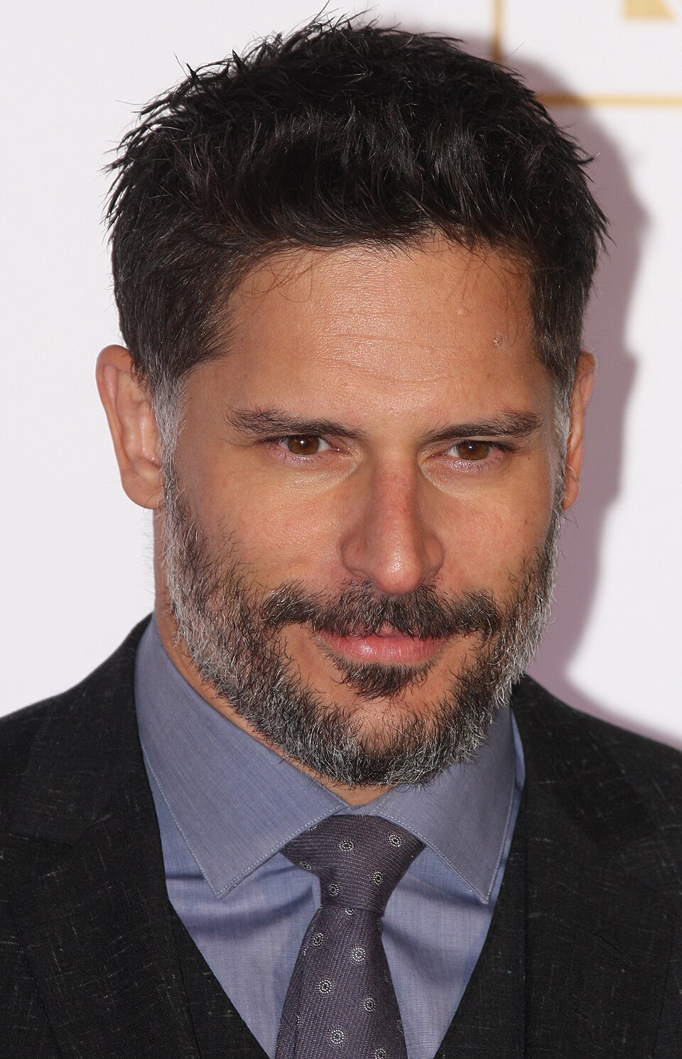 Joe Manganiello fotoğrafı