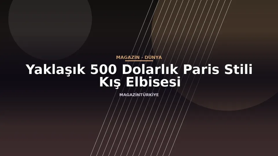 Yaklaşık 500 Dolarlık Paris Stili Kış Elbisesi